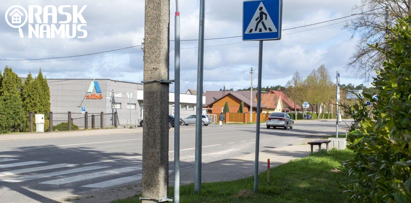 Butas šalia pušyno