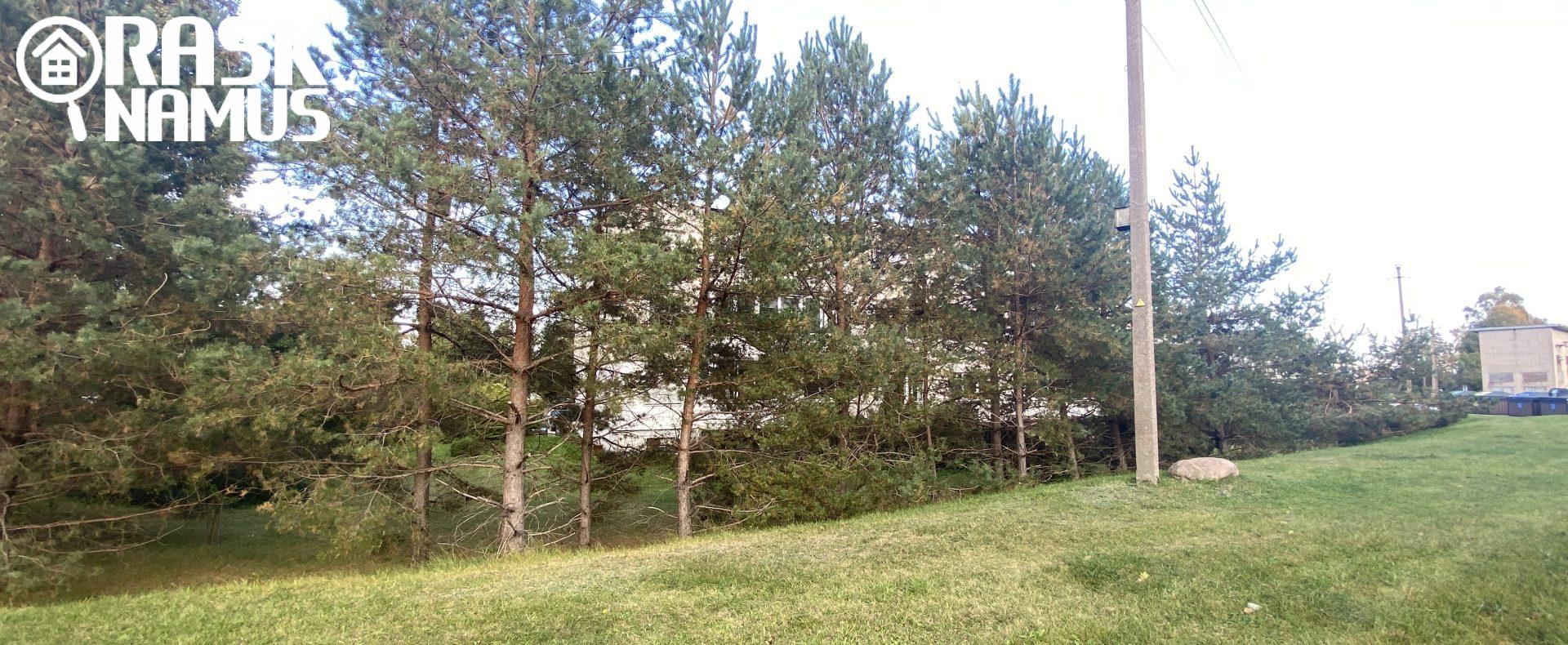 Butas Vievyje