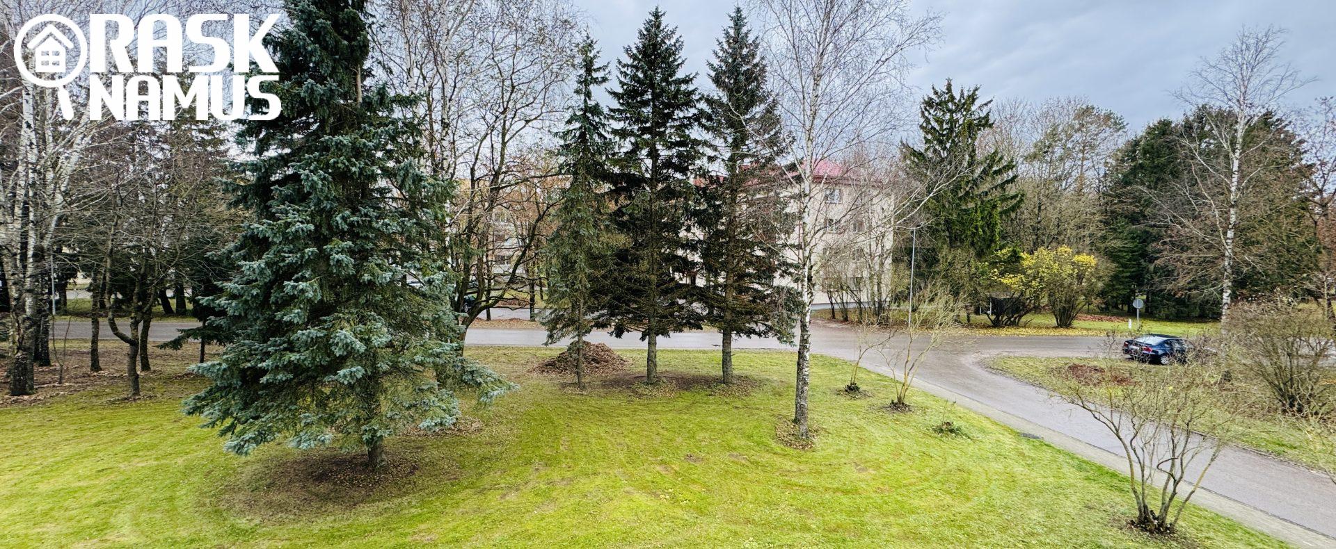 Akademija, Ruokio g. 7