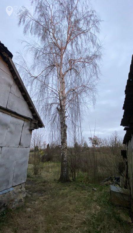 Rastinis namas Žagarėje